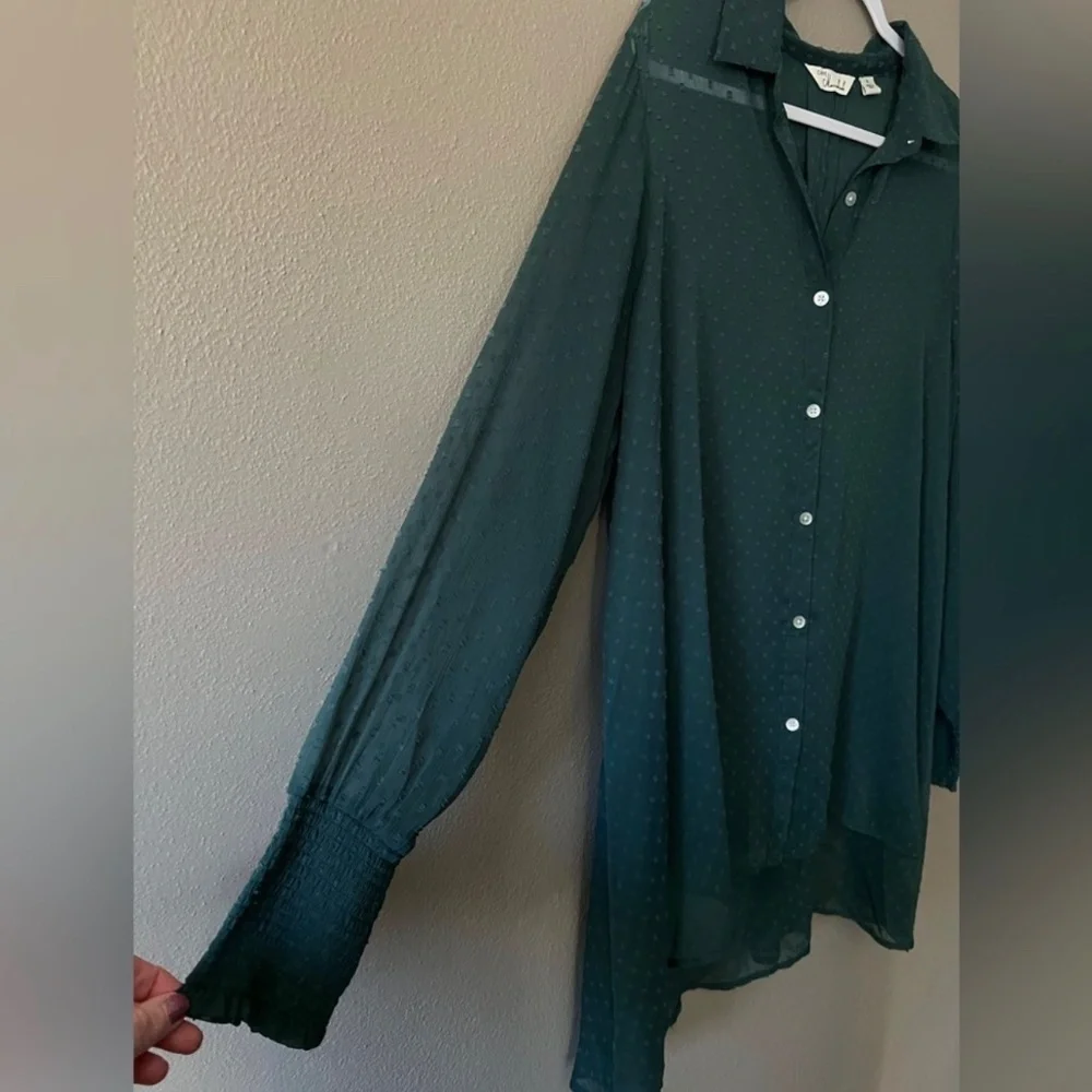 Caffe Marrakesh Sheer Button Up Swiss Dot‎ Long Sleeve Hunter Green Blouse 1X